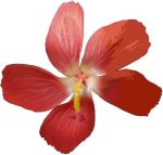 Trang data test001