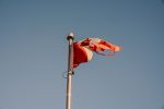 Gallery 1 - Test Org git 593