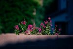 Gallery 5 - Test Org git 593